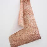 HILDIGUNNUR BIRGISDÓTTIR, Nebula, 2011