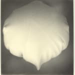 B. INGRID OLSON, Coming in with your back turned, 2021-2022
