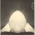 B. INGRID OLSON, Coming in with your back turned, 2021-2022
