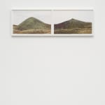 RONI HORN, Mother, Wonder (No. 14), 2019/2025