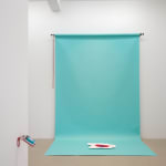 HILDIGUNNUR BIRGISDÓTTIR, Nebula, 2011