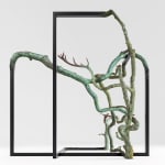 ALICJA KWADE, Connectivity of Force Free Bodies Ouroboros, 2010