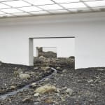 ÓLAFUR ELÍASSON, Riverbed, 2014
