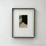 Paul Cupido, Zen Niwa, 2018