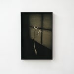 Paul Cupido, Yu II, 2019