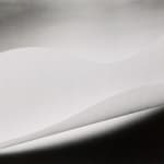 Yasuhiro Ishimoto, Untitled (abstraction B&W with reed) 4