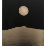Paul Cupido, Zen Niwa, 2018