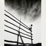 Eikoh Hosoe, Ordeal by Roses #7, 1961-62