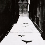 Ikko Narahara, Bird's Shadow in Venice, from 'Where time has stopped', 1964