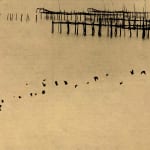 Paul Cupido, Zen Niwa, 2018