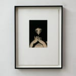 Paul Cupido, Zen Niwa, 2018