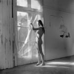 Imogen Cunningham, Phoenix 5, 1969