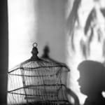 Imogen Cunningham, Birdcage and Shadows, 1921