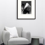 Imogen Cunningham, Black and White Lilies, late 1920s