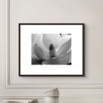 Imogen Cunningham, Magnolia Blossom, 1925