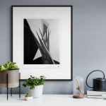 Imogen Cunningham, Agave Design 1, 1920s