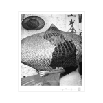 Imogen Cunningham, Ruth Asawa, 1957
