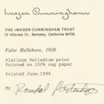 Imogen Cunningham, Tuberose, 1920s