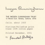 Imogen Cunningham, Tuberose, 1920s