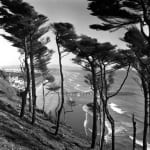 Imogen Cunningham, San Francisco Shoreline, 1957