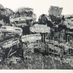 Carlos Torres, Wirarika, 2017