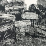 Carlos Torres, Wirarika, 2017