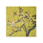 Zhuang Hong-yi, Golden Blossom