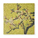 Zhuang Hong-yi, Golden Blossom