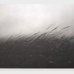 Danja Akulin, Untitled, 2015