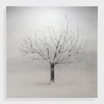 Julia Kissina, Colonialism, 2024