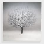 Danja Akulin, Untitled, 2015