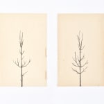 Peter Liversidge, Pair of Winter Drawings 8vs13 and 11vs11 , 2024