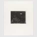 Aubrey Levinthal, Leftovers, 2025