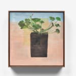 Aubrey Levinthal, Geranium on Palette Table, 2025