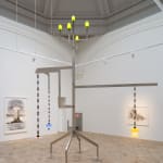 Charles Avery, Untitled (Dihedra), 2010-2012