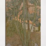 Hayley Barker, Swamp Mahogany, 2023