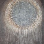 Masaaki Miyasako, Lingering Scent - 残香, 2023
