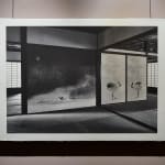 Kenji Wakasugi, 黒い滝 - Black Fall (Japan and Hawaii), 2016
