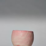 Tomoyuki Hoshino, Neritsugi Tea Bowl