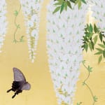 Daisuke Nakano, The Scent of Early Summer, 初夏薫る（白藤）, 2021