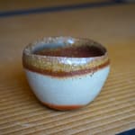 Yasue Maetake, Study for Printed Oxidation on Fiber #3