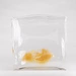 Laura de Santillana, Research Pending, 2019