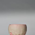 Tomoyuki Hoshino, Neritsugi Tea Bowl