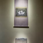 Kenji Wakasugi, 飛翔（シート）, 2015