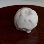 Tomoyuki Hoshino, 果実