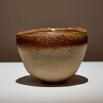 Yasue Maetake, Study for Printed Oxidation on Fiber #3