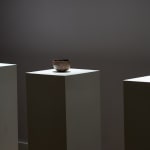 Yukiya Izumita, Sekisoh Tea Bowl, 2019