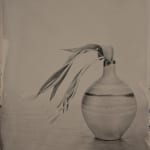 Steffen Diemer, Gerbera, WVZ 694, 2021