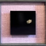 Steffen Diemer, Chrysantheme, WVZ 550, 2020