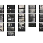 Marcela Serra, Persecución, 2010